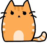 котик